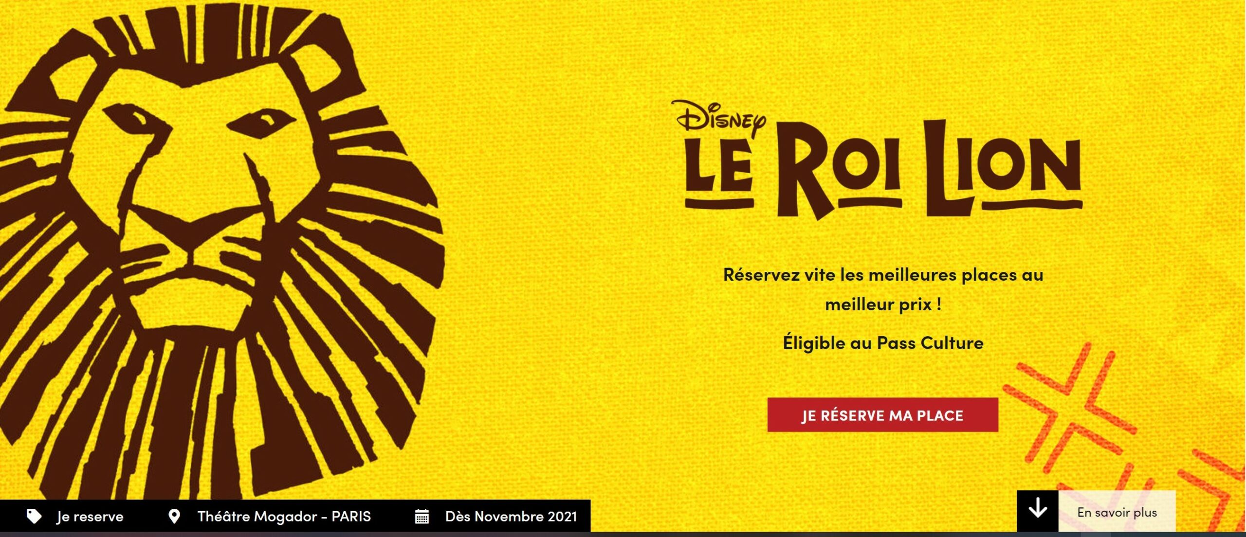 Featured image for “Le Roi Lion”